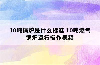 10吨锅炉是什么标准 10吨燃气锅炉运行操作视频